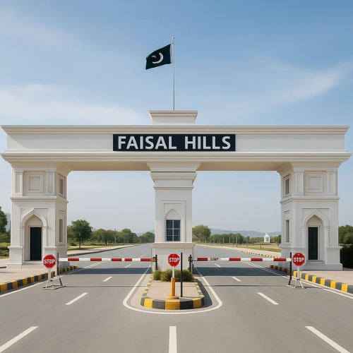 Faisal hills